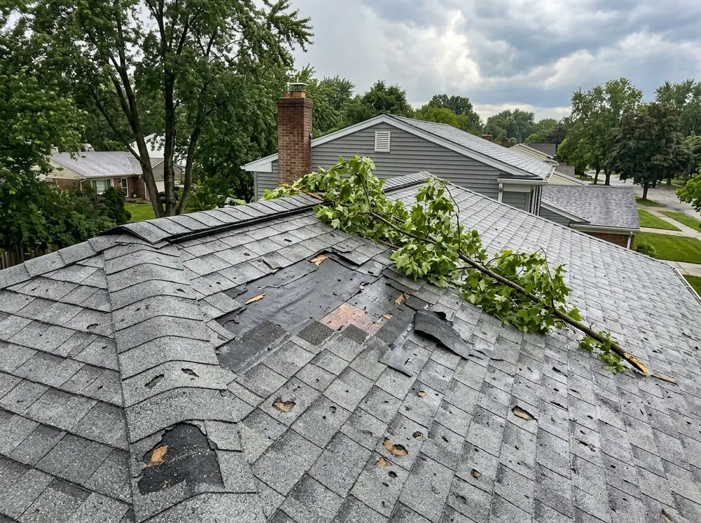 Storm-damaged gray asphalt shingle roof with torn-off shingles, lifted tabs and a fallen tree branch